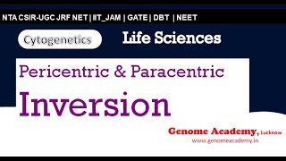 Pericentric amp paracentric Inversion  cytogenetics  CSIR  NTA  JRF  NET  Life Sciences [upl. by Olegnad]