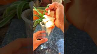 How to care for my aloe vera shorts aloevera [upl. by Ybbed]