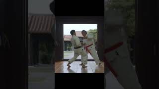 Okinawan Karate Master Kenyu Chinen  沖縄空手 沖縄 空手 okinawa karate martialarts [upl. by Dilaw]