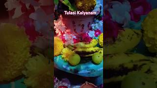 Why Tulasi Kalyanam is the Most Important Hindu Festivalpleasesubscribedwadashi Pooja ytshort [upl. by Anisor]