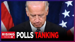 Biden Would Suffer MASSIVE Loss To Trump New Polling Predicts [upl. by Eseneg]