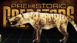 Prehistoric Predators  Hyaenodon horridus [upl. by Enidaj169]