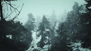 Snowstorm Blizzard Wind Sounds For Sleeping Relaxing  Calm Snow Arctic Howling Winter Ambience [upl. by Gian291]