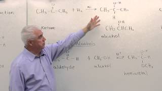 Reactions of Aldehydes amp Ketones [upl. by Honoria]