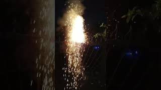 Diwali Fire Crackersshorts short fireworks diwali funnyviralshort [upl. by Kehsihba882]