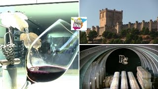 Ribera del Duero Wine Tour [upl. by Merrielle92]