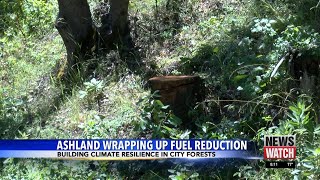 Ashland continuing to build climate resilience in cityowned forests [upl. by Ettenawtna]