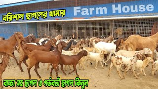 বরিশাল ছাগলের খামার।বাচ্চা সহ ছাগল ও গর্ভবতী ছাগল কিনুন বরিশালে প্রান্তিক খামারীর কাছ থেকে। পর্ব ১ম [upl. by Dyolf]