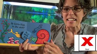 Where is Little Fish Book read aloud [upl. by Carrnan]