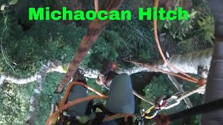 TREE REMOVAL MICHOACAN HITCH [upl. by Hgeilhsa126]