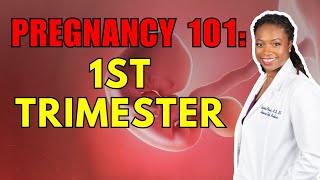 1st Trimester Pregnancy You NEED To Know This [upl. by Armand]