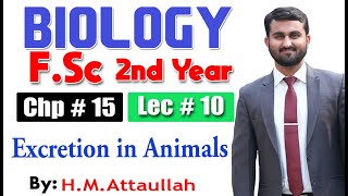 Excretion in animals  Chapter 15  2nd year Biology  Lec  10 [upl. by Michele]