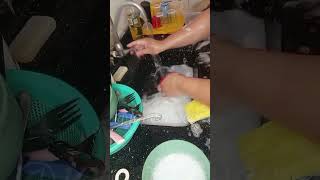 Louças 🥱 asmrcleaning lavandolouça limpezarapida asmr limpeza cleaning satisfying [upl. by Daas479]