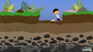 Soil Profile of Earth  Soil Layers and Horizons  Geography for Kids  Educational Videos by Mocomi [upl. by Aneerb38]