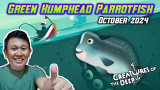 DISINI Spot Sengaja Mencari Green Humphead Parrotfish❗Creatures of the Deep Fishing [upl. by Anoyi]