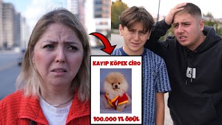 KÖPEĞİMİZ KAYBOLDU  Bulana 100000 TL Ödül  Dolandırıldık [upl. by Ecinahs466]