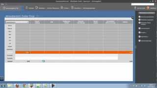 Monatliche Abrechnungswerte erfassen in Lexware Lohn amp Gehalt 2012 [upl. by Kaufmann]