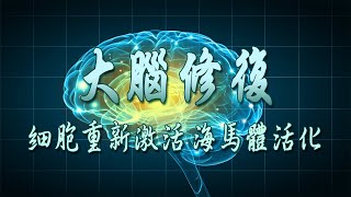 音樂治療 大腦修復528HZ 額葉激活 海馬刺激 大腦激活 增強集中力 記憶力 注意力改善大腦的音樂  智力UP 記憶力UP 【重製】適用學習、工作背景音樂  02 [upl. by Atterbury277]