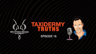 Taxidermy Truths  Episode 16  Caring for your Trophies  5 Tips [upl. by Aseefan]