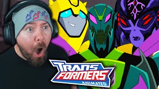 WASPINATOR IS BORN FIRST TIME WATCHING  Transformers Animated Season 3 Episode 7 REACTION [upl. by Cowie]