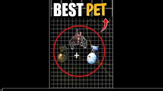 How to Use Beaston Pet In Free fire freefire BESTGAMER58 tipsandtricks [upl. by Juanita]