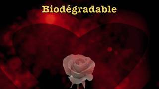 Biodegradable by Ginette Reno [upl. by Yelsiap]