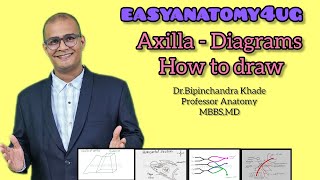 Axilla diagrams how to draw [upl. by Sinnaoi]