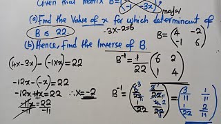 Matrix 2024 GCE  Determinants And Inverse Concepts  Harrison J Zulu Tutor [upl. by Natsreik712]