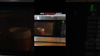 How the microwave oven cooks food❓ [upl. by Sandy]