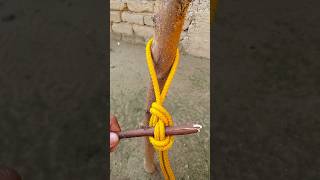 IDEAS FOR YOU OF TYING KNOT EASY RELEASING KNOT Knotsshortsviralrope [upl. by Ekal316]