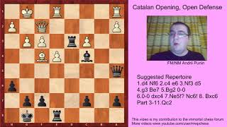 Chess  The Catalan Opening for black  Open Defense with 7 Ne5 Nc6 8 Bxc6  Part 3 [upl. by Larok]