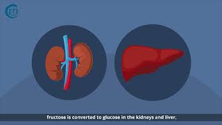 Fructose and Metabolic Diseases [upl. by Amehsat]