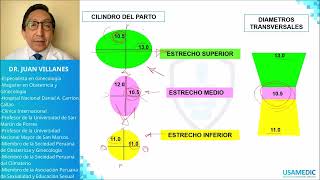 Pelvimetría  Planos de HODGE y LEE USAMEDIC  Obstericia 4 [upl. by Jocelin]