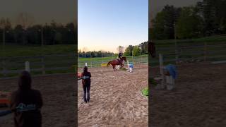 🌅🐎 Sunset Rides With Fishy shorts horselover horse [upl. by Khanna769]