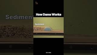 How Sediment Builds Up Behind Dams ScienceShorts [upl. by Erminia]