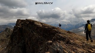 Whaleback  Isolated Peak in Yoho BC Rocky Mountains [upl. by Claresta]