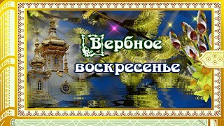 С Вербным воскресеньем друзья Мира и добра желаю я [upl. by Dorey]