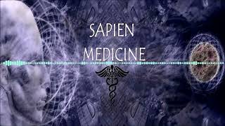 Overcome Any Addiction Dopamine Receptor Repair amp Addiction Healing by Sapien Medicine [upl. by Llemart818]