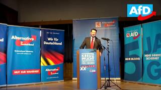 Andreas Lichert Darum wird die AfD diffamiert [upl. by Aneral550]