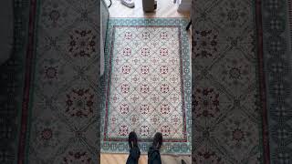 Rug cleaning rug steam cleaning before and after Mr Sofa Kinsale [upl. by Aciria813]