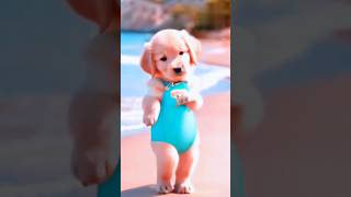 My dog dance video 🎶💃🏼🐕youtubeshorts youtub ytshortsvideo viralshort [upl. by Cirek]