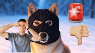 Ski Musk Doge   it is a scam 🚨 Emergency Meeting 🔪 [upl. by Aerahs]