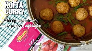 Kofta Curry with Shan MasalaTips and Tricks to make perfectly soft koftas by Spark Of Taste [upl. by Nerrag148]