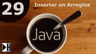 Operacion Insertar Arreglos en Java Curso Java NetBeans 2933 [upl. by Rania]