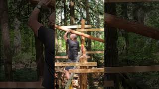 Log Woodshed Build  Full Video on My Channel shorts [upl. by Eenafets]