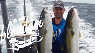 YELLOWTAIL FEVER  STRUISBAAI  HOW TO FISH YELLOWTAIL WITH HANDLINE [upl. by Oiliduab107]