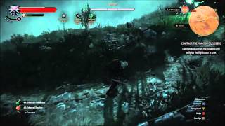 Witcher 3  Contract The Phantom of Eldberg [upl. by Aikemahs]