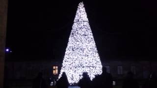 Longleat safari park dancing Christmas tree [upl. by Lanahtan619]