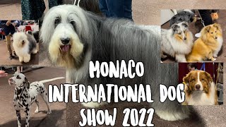 Monaco International Dog Show 2022 Exposition Canine Internationale de Monaco 4KHD [upl. by Januarius]