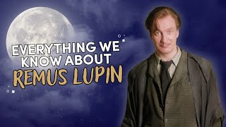 The Life of Remus Lupin  Deep Dive [upl. by Aenit]